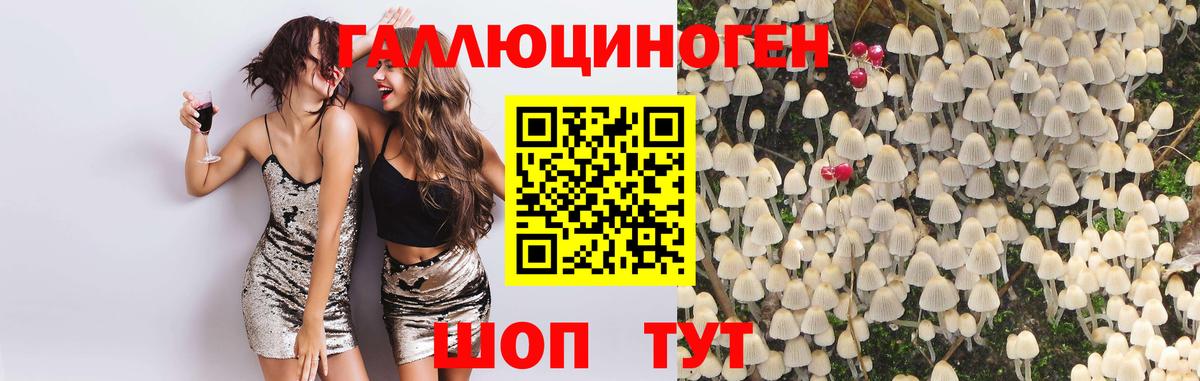 Галлюциногенные грибы прущие грибы Учалы