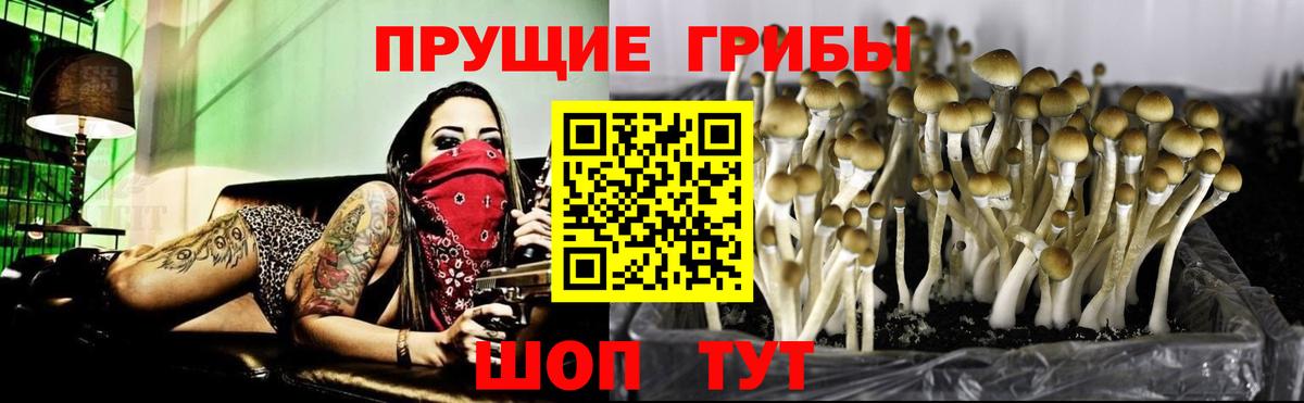 Галлюциногенные грибы MAGIC MUSHROOMS  Галлюциногенные грибы Cubensis  Вход с VPN  Учалы 
